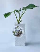 Load image into Gallery viewer, Propagation vase