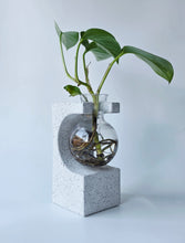 Load image into Gallery viewer, Propagation vase