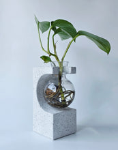 Load image into Gallery viewer, Propagation vase