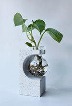 Load image into Gallery viewer, Propagation vase